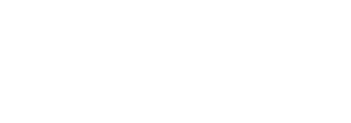 RVSI, RV Super Intelligence
