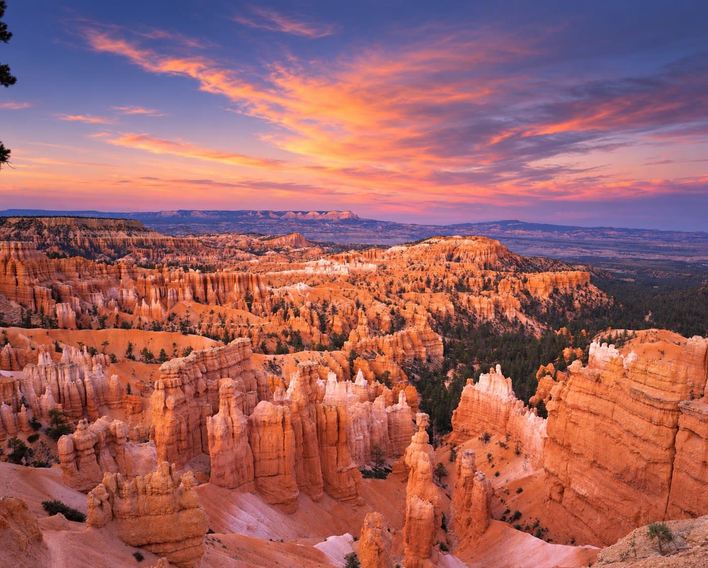 Evening light over Bryce Canyon with the Aquarius Plateau beyond